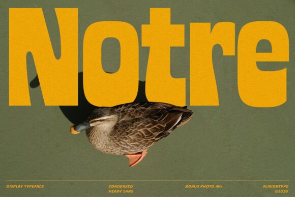 Notre Display Typeface for Handmade Brands