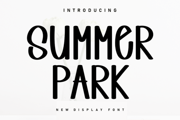 Summer Park: A Handwritten Display Font for Scroll-Stopping Campaigns